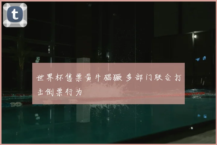 世界杯售票黄牛猖獗 多部门联合打击倒票行为