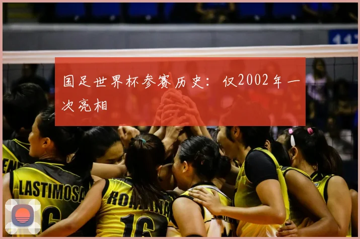 国足世界杯参赛历史:仅2002年一次亮相